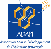 adapi